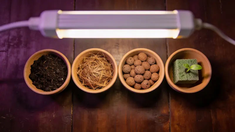 Quatre substrats dans des bols : terreau, fibre de coco, billes d'argile expansée et cube de laine de roche